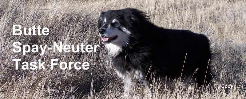 Butte Spay Neuter Task Force